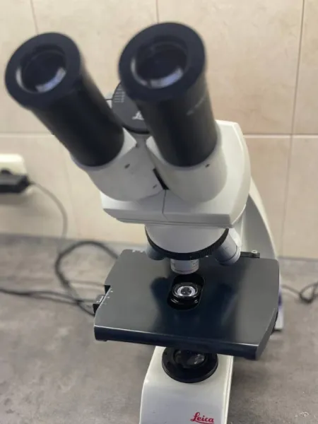 Analisi delle urine | Indagini batteriologiche