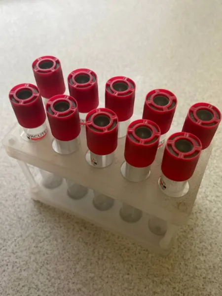 Studio citologico | Citologia