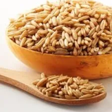 WHOLE GRAIN OATS (UKRAINE) | BIO NUTRITION