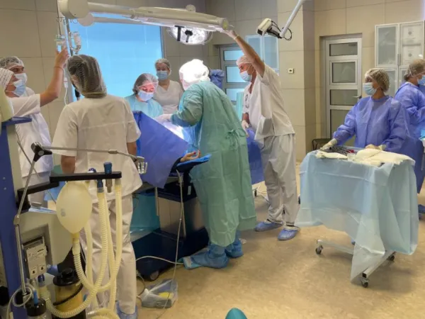 Removal of leiomyoma | Surgery in gynecology